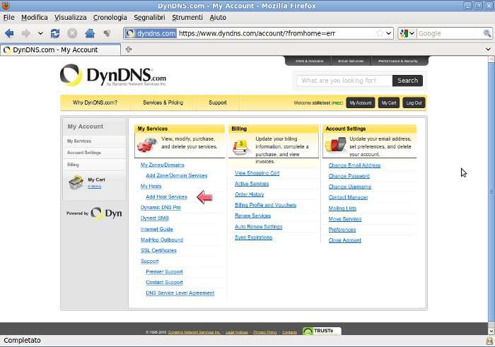 Dyndns services